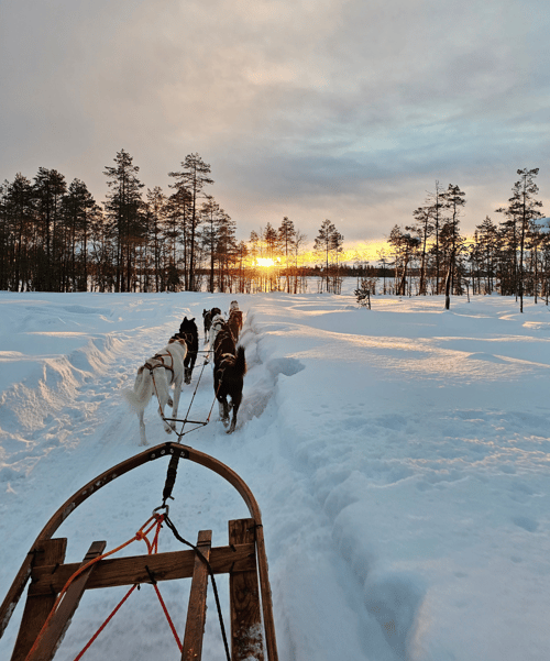 Dog sledding Dog sledding